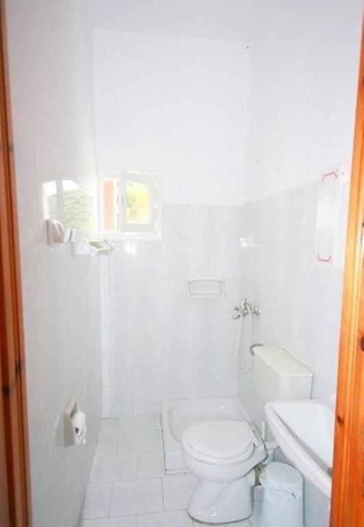 Appartement Paleopalace *